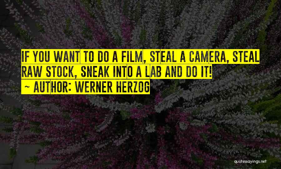 Werner Herzog Quotes: If You Want To Do A Film, Steal A Camera, Steal Raw Stock, Sneak Into A Lab And Do It!