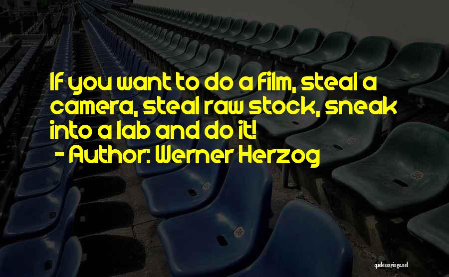 Werner Herzog Quotes: If You Want To Do A Film, Steal A Camera, Steal Raw Stock, Sneak Into A Lab And Do It!