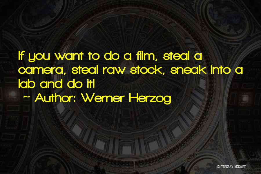 Werner Herzog Quotes: If You Want To Do A Film, Steal A Camera, Steal Raw Stock, Sneak Into A Lab And Do It!