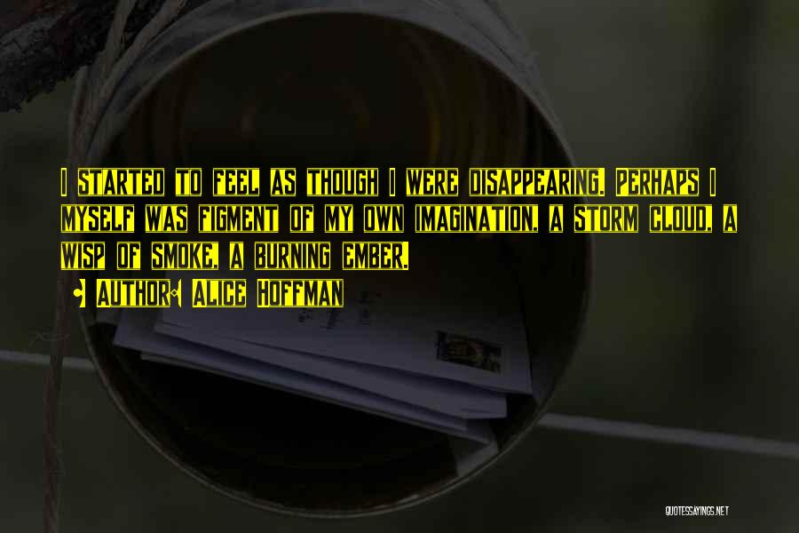 Alice Hoffman Quotes: I Started To Feel As Though I Were Disappearing. Perhaps I Myself Was Figment Of My Own Imagination, A Storm