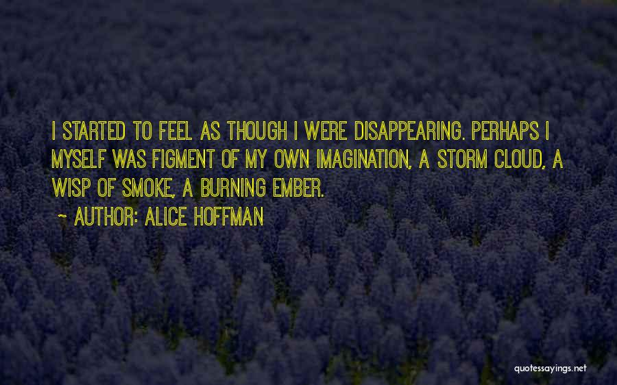 Alice Hoffman Quotes: I Started To Feel As Though I Were Disappearing. Perhaps I Myself Was Figment Of My Own Imagination, A Storm