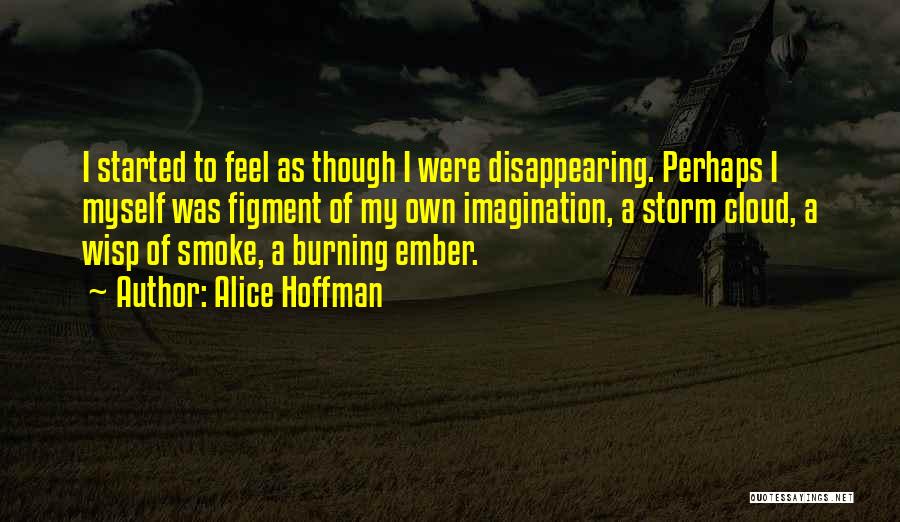 Alice Hoffman Quotes: I Started To Feel As Though I Were Disappearing. Perhaps I Myself Was Figment Of My Own Imagination, A Storm