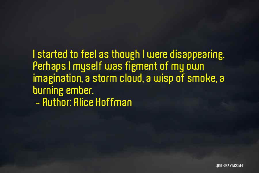 Alice Hoffman Quotes: I Started To Feel As Though I Were Disappearing. Perhaps I Myself Was Figment Of My Own Imagination, A Storm