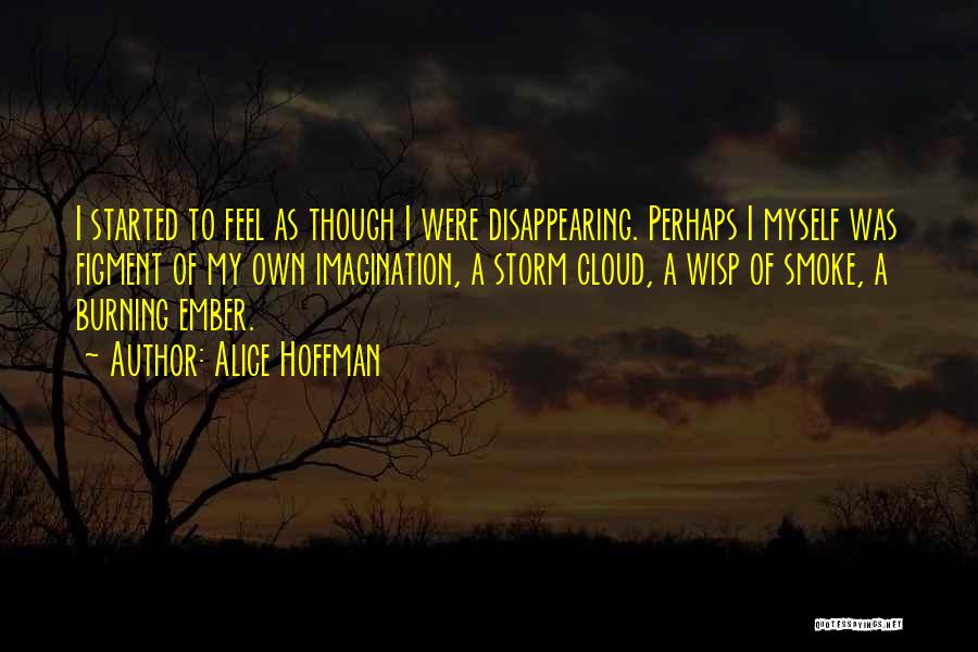 Alice Hoffman Quotes: I Started To Feel As Though I Were Disappearing. Perhaps I Myself Was Figment Of My Own Imagination, A Storm