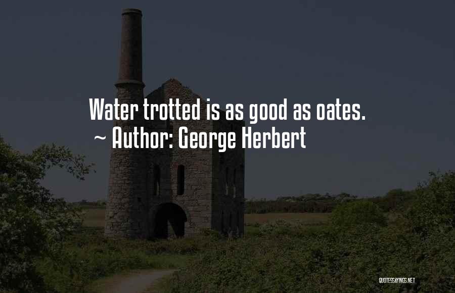 George Herbert Quotes: Water Trotted Is As Good As Oates.