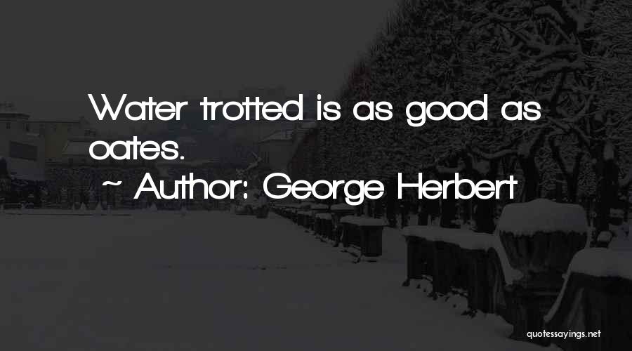 George Herbert Quotes: Water Trotted Is As Good As Oates.