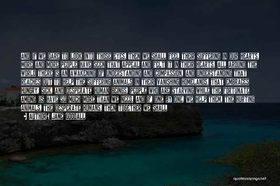 Jane Goodall Quotes: And If We Dare To Look Into Those Eyes, Then We Shall Feel Their Suffering In Our Hearts. More And