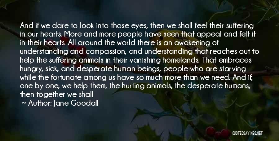 Jane Goodall Quotes: And If We Dare To Look Into Those Eyes, Then We Shall Feel Their Suffering In Our Hearts. More And