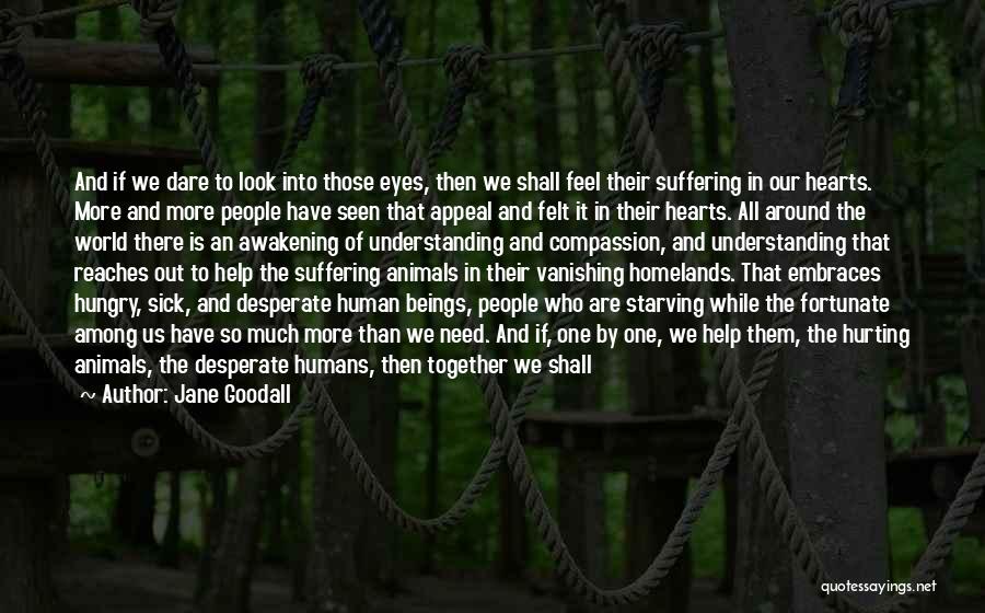 Jane Goodall Quotes: And If We Dare To Look Into Those Eyes, Then We Shall Feel Their Suffering In Our Hearts. More And