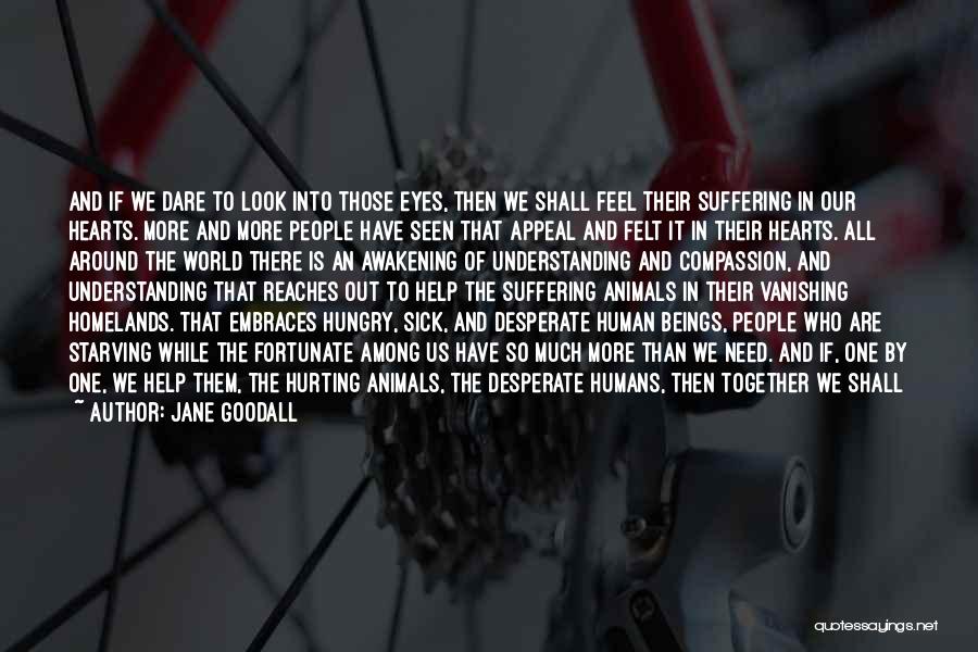 Jane Goodall Quotes: And If We Dare To Look Into Those Eyes, Then We Shall Feel Their Suffering In Our Hearts. More And