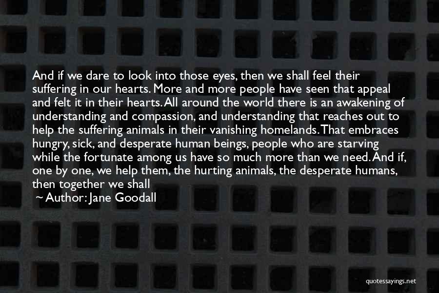 Jane Goodall Quotes: And If We Dare To Look Into Those Eyes, Then We Shall Feel Their Suffering In Our Hearts. More And