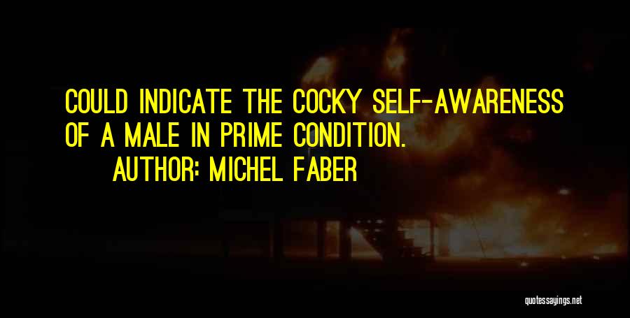 Michel Faber Quotes: Could Indicate The Cocky Self-awareness Of A Male In Prime Condition.