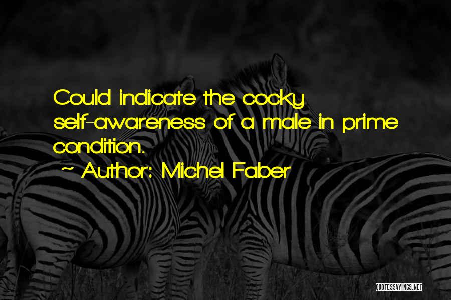 Michel Faber Quotes: Could Indicate The Cocky Self-awareness Of A Male In Prime Condition.