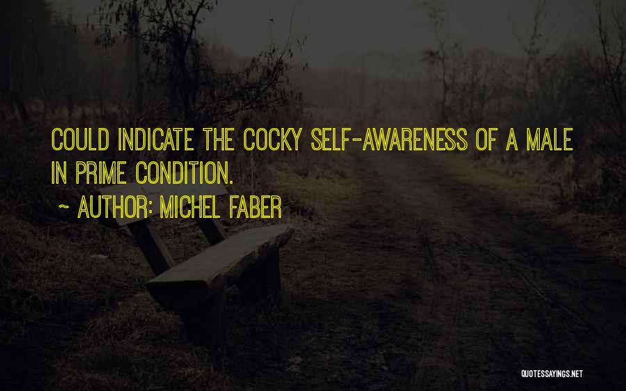 Michel Faber Quotes: Could Indicate The Cocky Self-awareness Of A Male In Prime Condition.