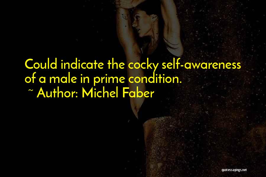 Michel Faber Quotes: Could Indicate The Cocky Self-awareness Of A Male In Prime Condition.