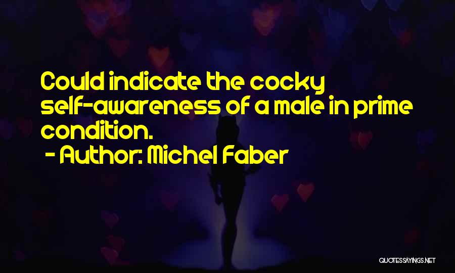 Michel Faber Quotes: Could Indicate The Cocky Self-awareness Of A Male In Prime Condition.