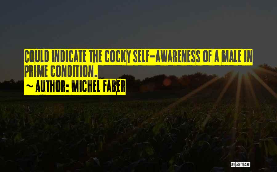 Michel Faber Quotes: Could Indicate The Cocky Self-awareness Of A Male In Prime Condition.