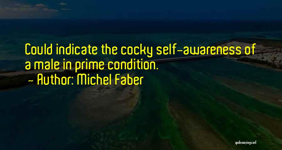 Michel Faber Quotes: Could Indicate The Cocky Self-awareness Of A Male In Prime Condition.