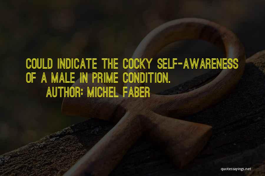 Michel Faber Quotes: Could Indicate The Cocky Self-awareness Of A Male In Prime Condition.
