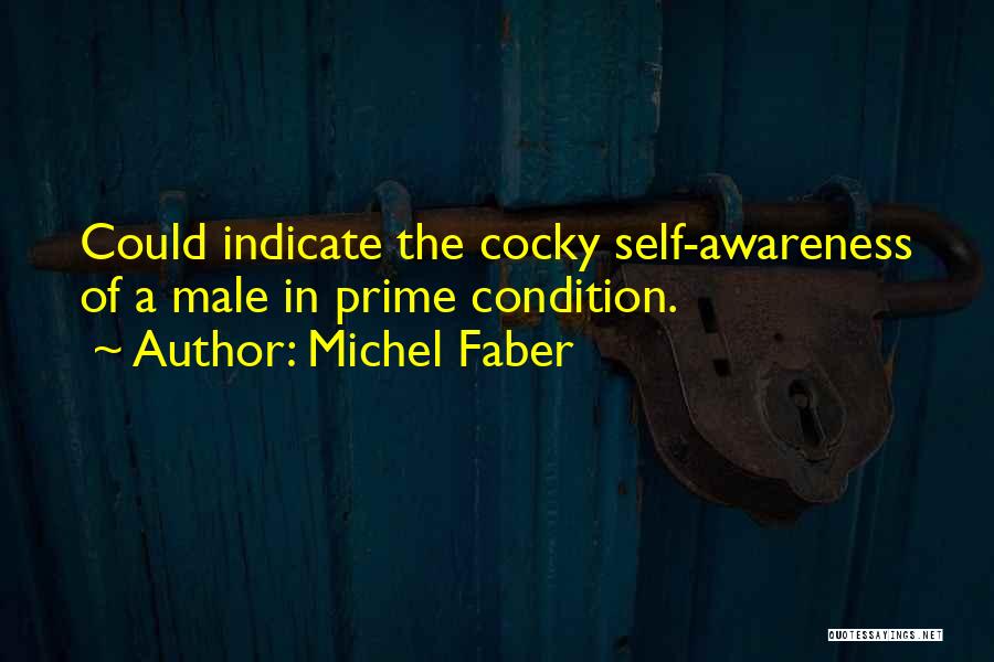 Michel Faber Quotes: Could Indicate The Cocky Self-awareness Of A Male In Prime Condition.