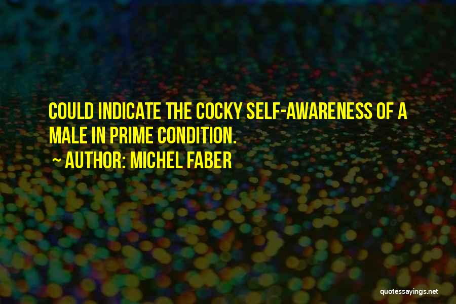 Michel Faber Quotes: Could Indicate The Cocky Self-awareness Of A Male In Prime Condition.