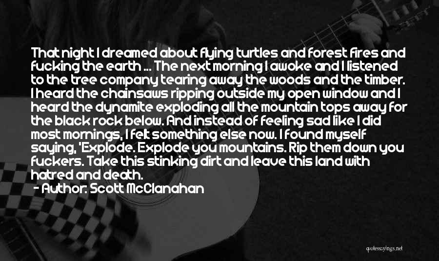 Scott McClanahan Quotes: That Night I Dreamed About Flying Turtles And Forest Fires And Fucking The Earth ... The Next Morning I Awoke