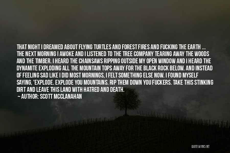 Scott McClanahan Quotes: That Night I Dreamed About Flying Turtles And Forest Fires And Fucking The Earth ... The Next Morning I Awoke