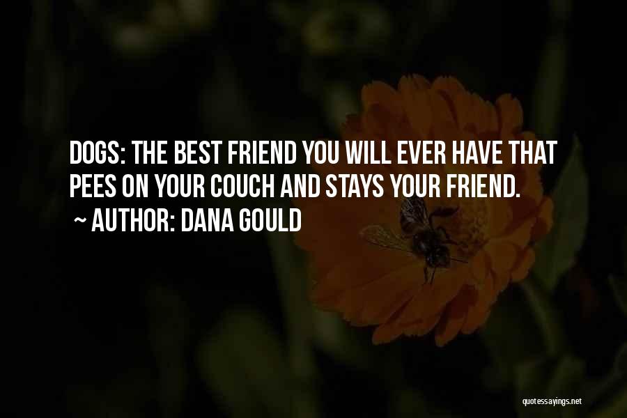 Dana Gould Quotes: Dogs: The Best Friend You Will Ever Have That Pees On Your Couch And Stays Your Friend.