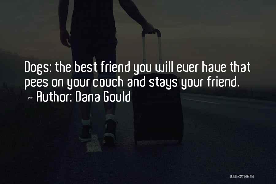 Dana Gould Quotes: Dogs: The Best Friend You Will Ever Have That Pees On Your Couch And Stays Your Friend.