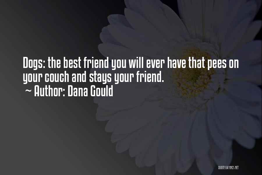 Dana Gould Quotes: Dogs: The Best Friend You Will Ever Have That Pees On Your Couch And Stays Your Friend.