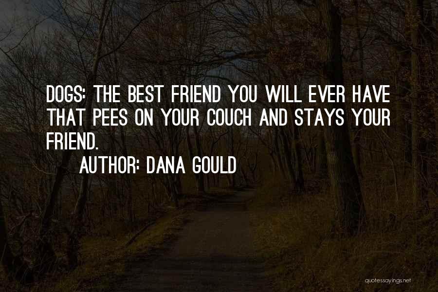 Dana Gould Quotes: Dogs: The Best Friend You Will Ever Have That Pees On Your Couch And Stays Your Friend.