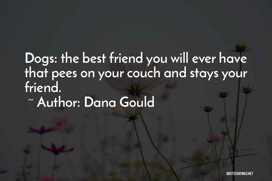 Dana Gould Quotes: Dogs: The Best Friend You Will Ever Have That Pees On Your Couch And Stays Your Friend.