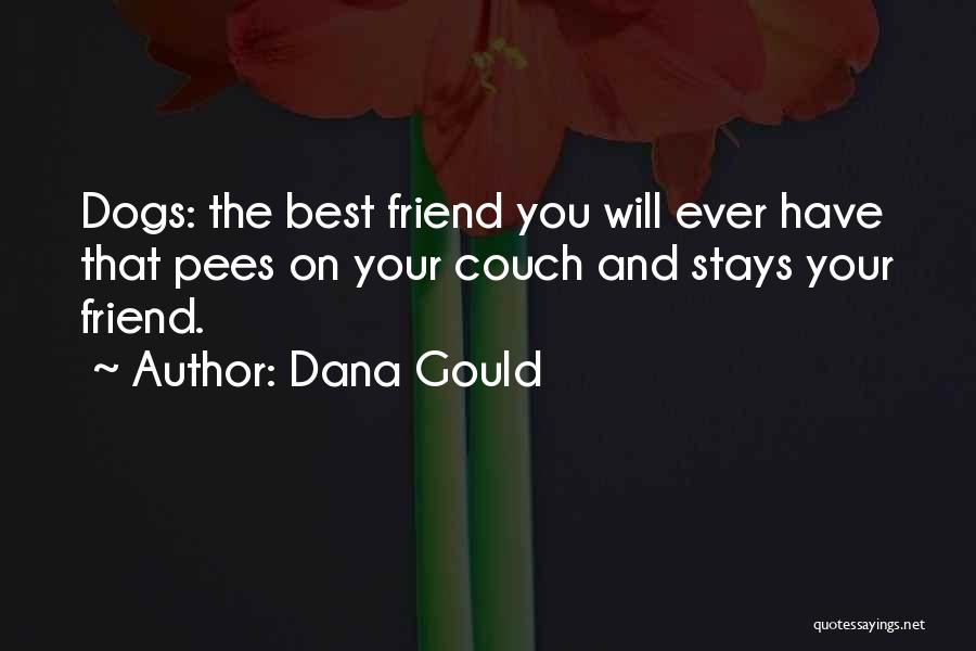 Dana Gould Quotes: Dogs: The Best Friend You Will Ever Have That Pees On Your Couch And Stays Your Friend.