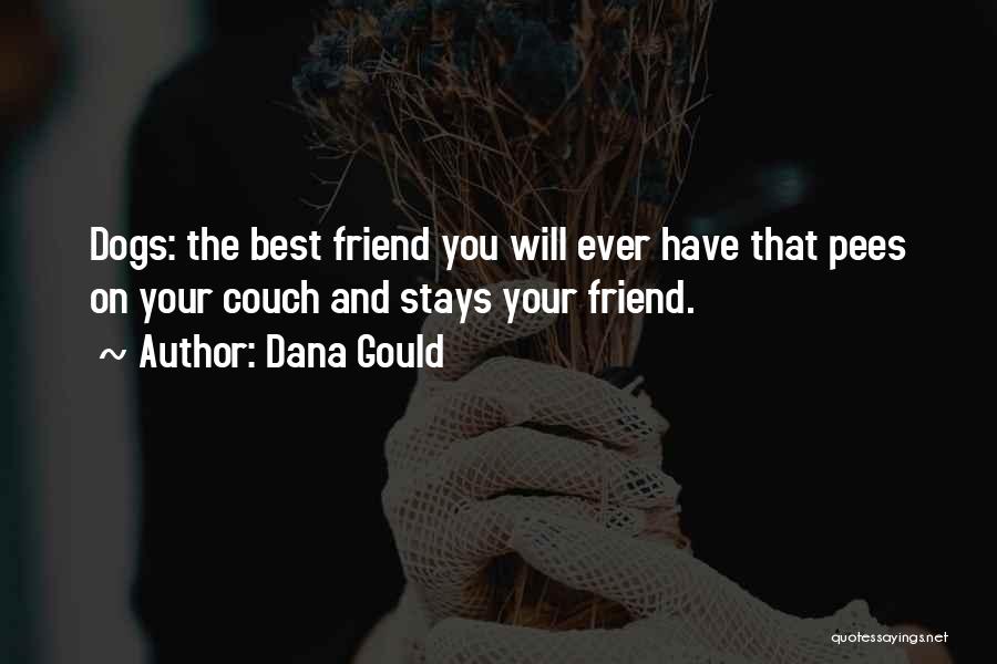 Dana Gould Quotes: Dogs: The Best Friend You Will Ever Have That Pees On Your Couch And Stays Your Friend.