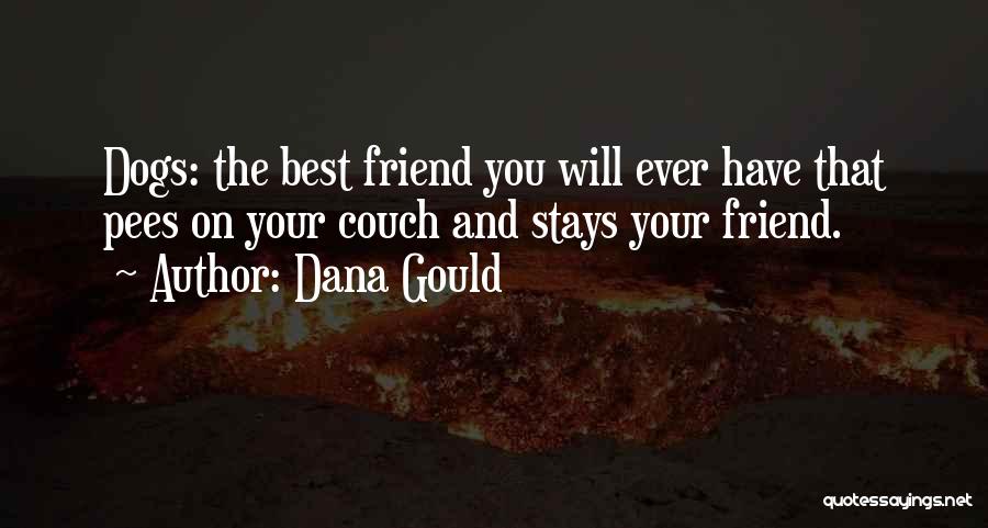 Dana Gould Quotes: Dogs: The Best Friend You Will Ever Have That Pees On Your Couch And Stays Your Friend.