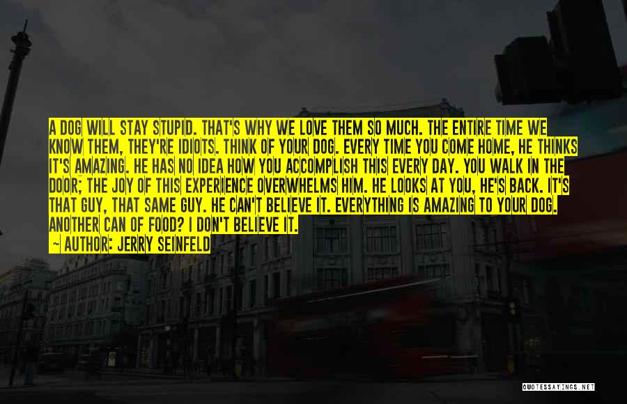 Jerry Seinfeld Quotes: A Dog Will Stay Stupid. That's Why We Love Them So Much. The Entire Time We Know Them, They're Idiots.