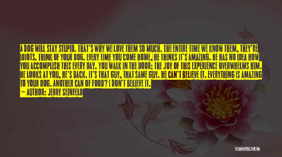 Jerry Seinfeld Quotes: A Dog Will Stay Stupid. That's Why We Love Them So Much. The Entire Time We Know Them, They're Idiots.