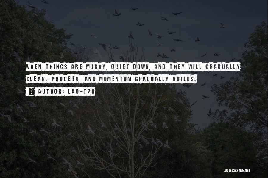 Lao-Tzu Quotes: When Things Are Murky, Quiet Down, And They Will Gradually Clear. Proceed, And Momentum Gradually Builds.