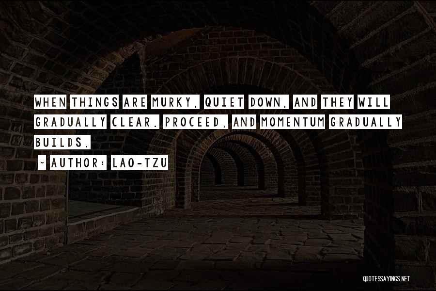 Lao-Tzu Quotes: When Things Are Murky, Quiet Down, And They Will Gradually Clear. Proceed, And Momentum Gradually Builds.