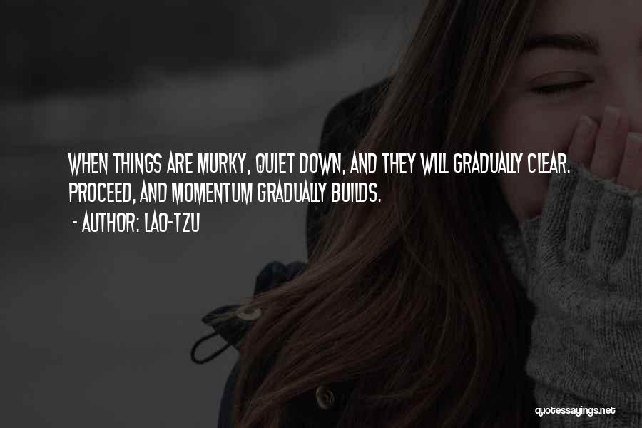 Lao-Tzu Quotes: When Things Are Murky, Quiet Down, And They Will Gradually Clear. Proceed, And Momentum Gradually Builds.