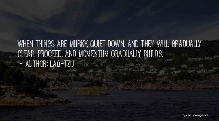 Lao-Tzu Quotes: When Things Are Murky, Quiet Down, And They Will Gradually Clear. Proceed, And Momentum Gradually Builds.