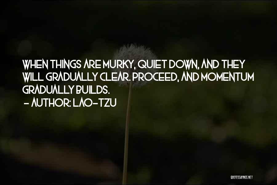 Lao-Tzu Quotes: When Things Are Murky, Quiet Down, And They Will Gradually Clear. Proceed, And Momentum Gradually Builds.