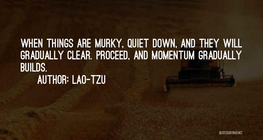 Lao-Tzu Quotes: When Things Are Murky, Quiet Down, And They Will Gradually Clear. Proceed, And Momentum Gradually Builds.