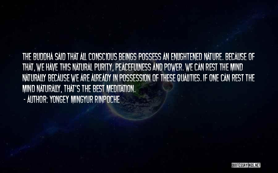 Yongey Mingyur Rinpoche Quotes: The Buddha Said That All Conscious Beings Possess An Enlightened Nature. Because Of That, We Have This Natural Purity, Peacefulness