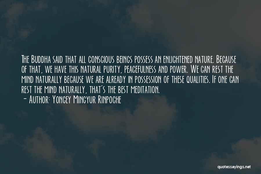 Yongey Mingyur Rinpoche Quotes: The Buddha Said That All Conscious Beings Possess An Enlightened Nature. Because Of That, We Have This Natural Purity, Peacefulness