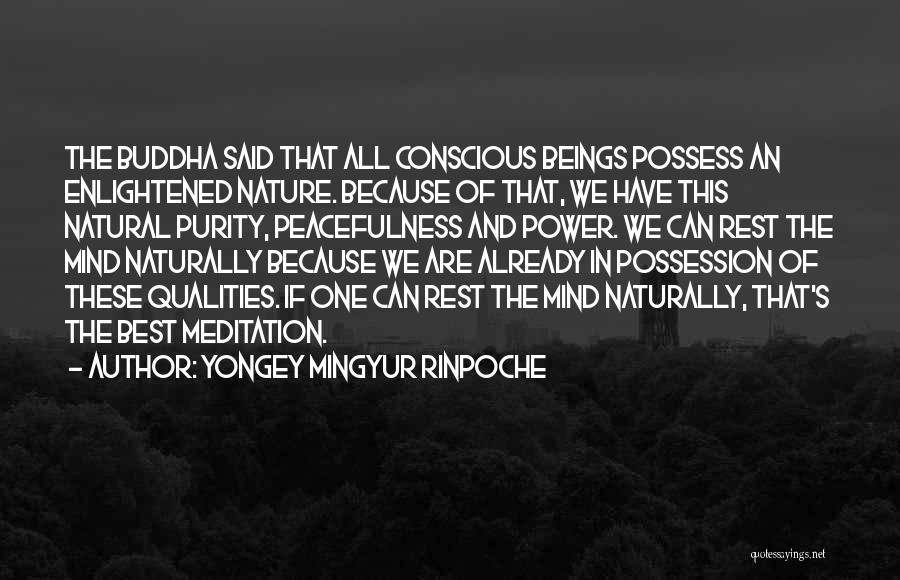 Yongey Mingyur Rinpoche Quotes: The Buddha Said That All Conscious Beings Possess An Enlightened Nature. Because Of That, We Have This Natural Purity, Peacefulness