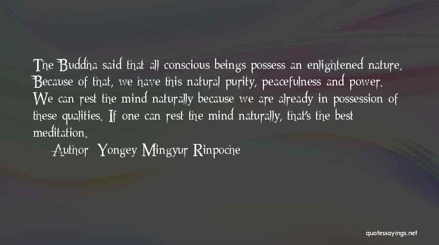 Yongey Mingyur Rinpoche Quotes: The Buddha Said That All Conscious Beings Possess An Enlightened Nature. Because Of That, We Have This Natural Purity, Peacefulness