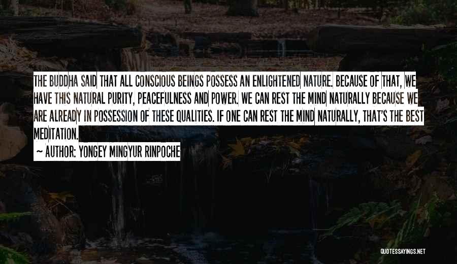 Yongey Mingyur Rinpoche Quotes: The Buddha Said That All Conscious Beings Possess An Enlightened Nature. Because Of That, We Have This Natural Purity, Peacefulness