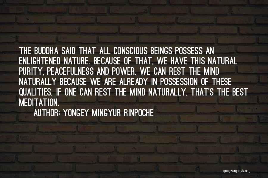 Yongey Mingyur Rinpoche Quotes: The Buddha Said That All Conscious Beings Possess An Enlightened Nature. Because Of That, We Have This Natural Purity, Peacefulness
