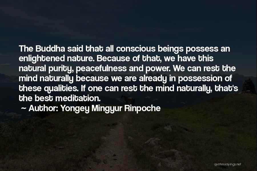 Yongey Mingyur Rinpoche Quotes: The Buddha Said That All Conscious Beings Possess An Enlightened Nature. Because Of That, We Have This Natural Purity, Peacefulness
